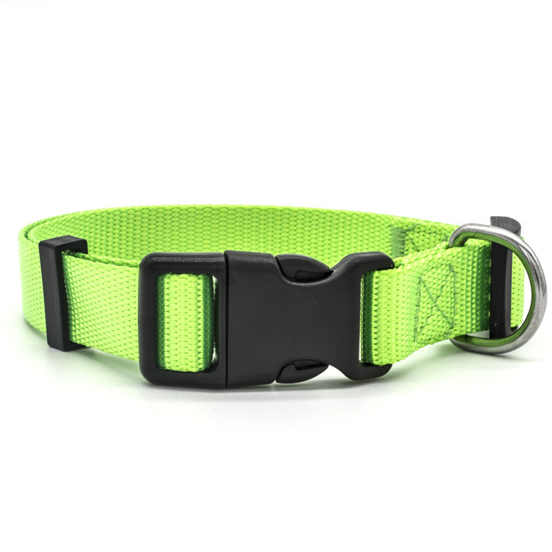 Nylon Dog Collar