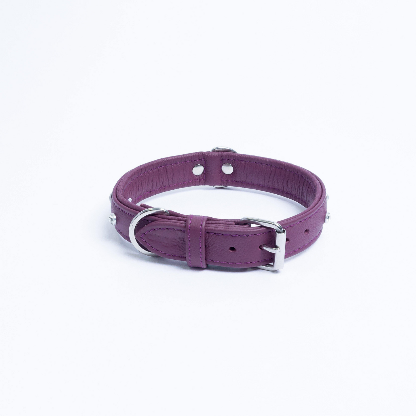 Athens Dog Collar