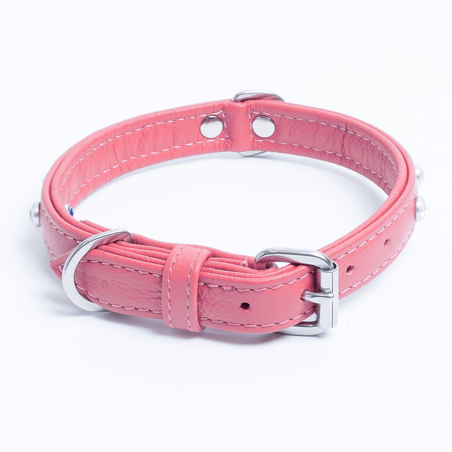 Athens Dog Collar