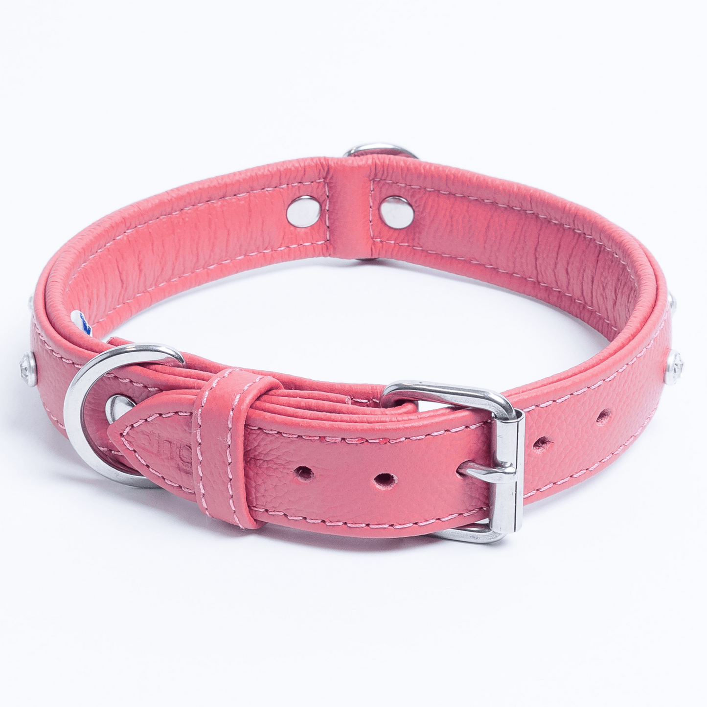 Athens Dog Collar