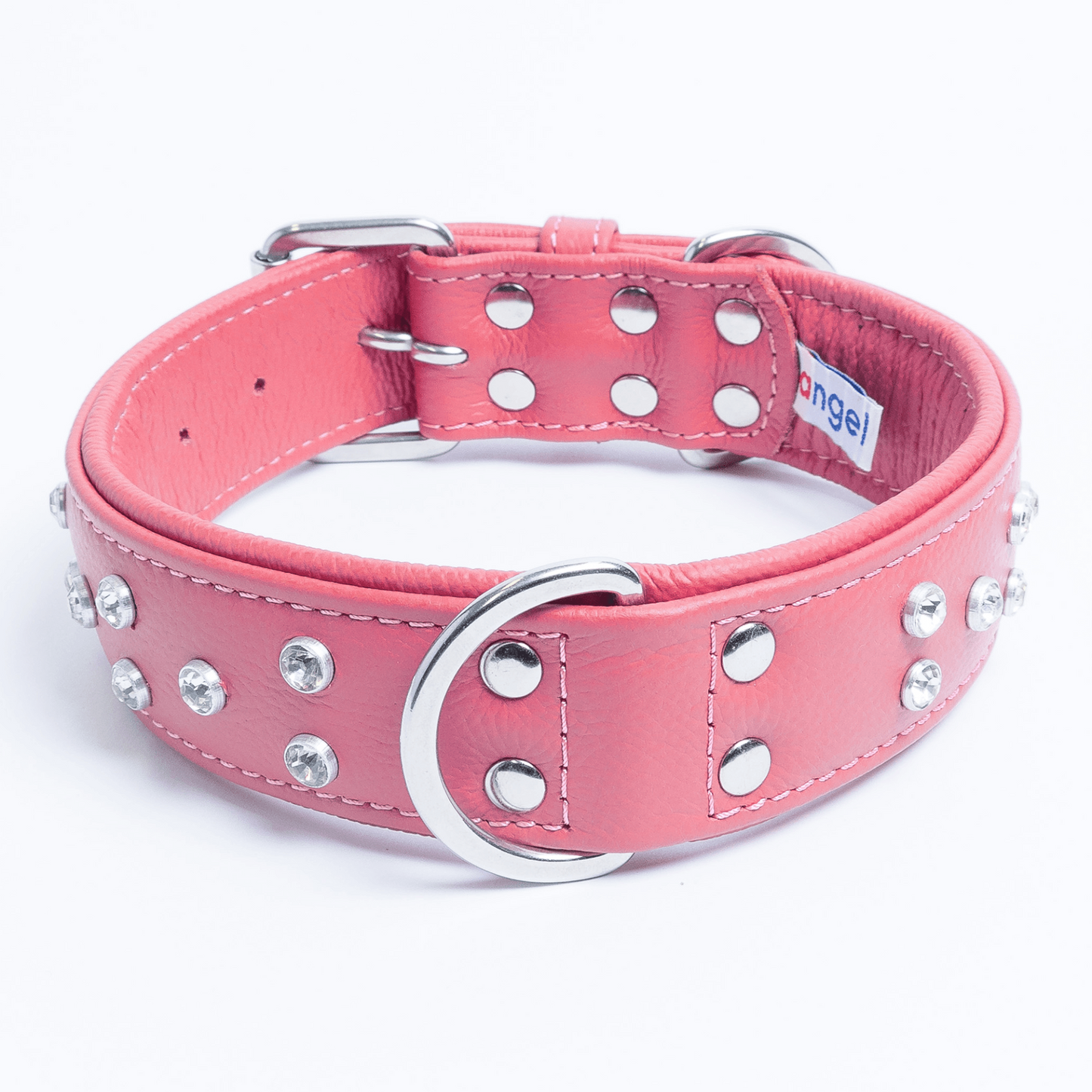 Athens Dog Collar