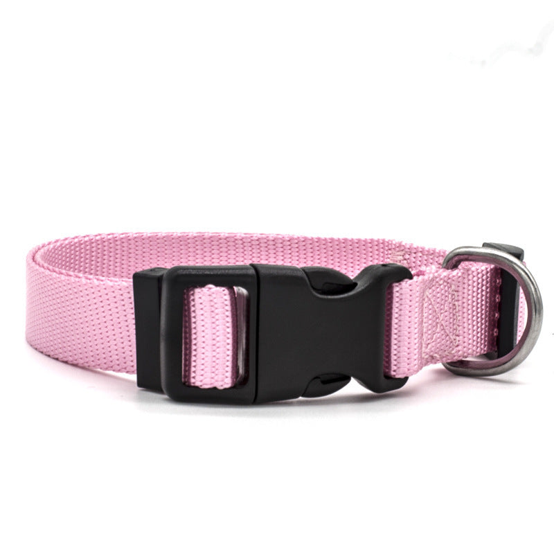 Nylon Dog Collar