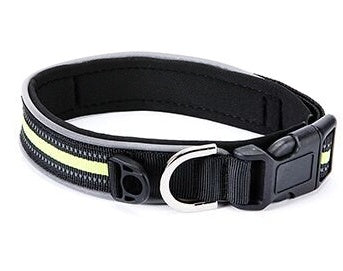 Comfortable Plus Velcro Luminous Neoprene Collar