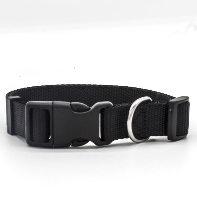 Nylon Dog Collar