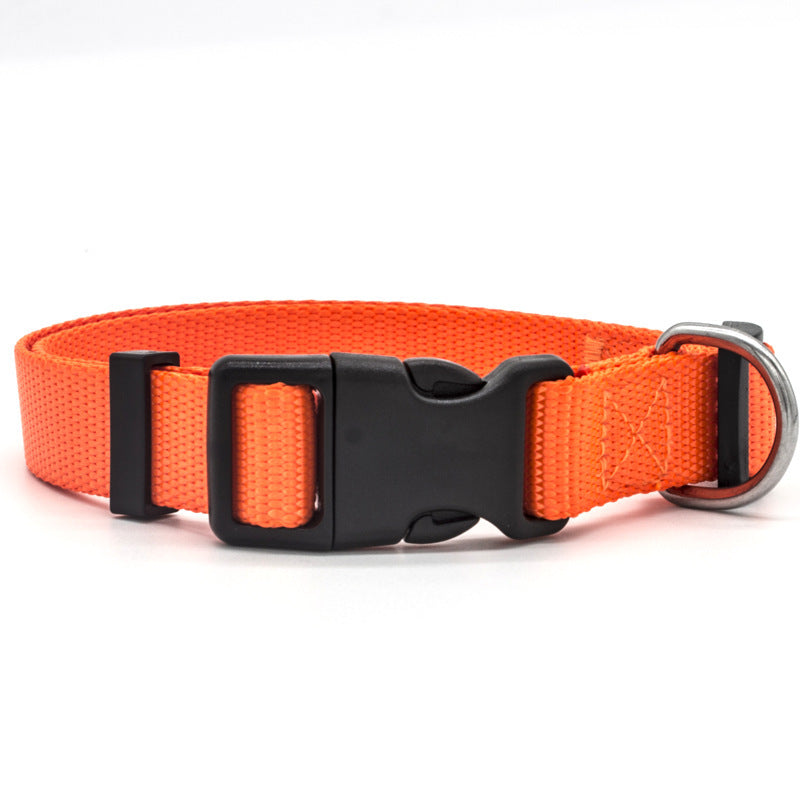 Nylon Dog Collar