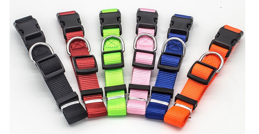 Nylon Dog Collar