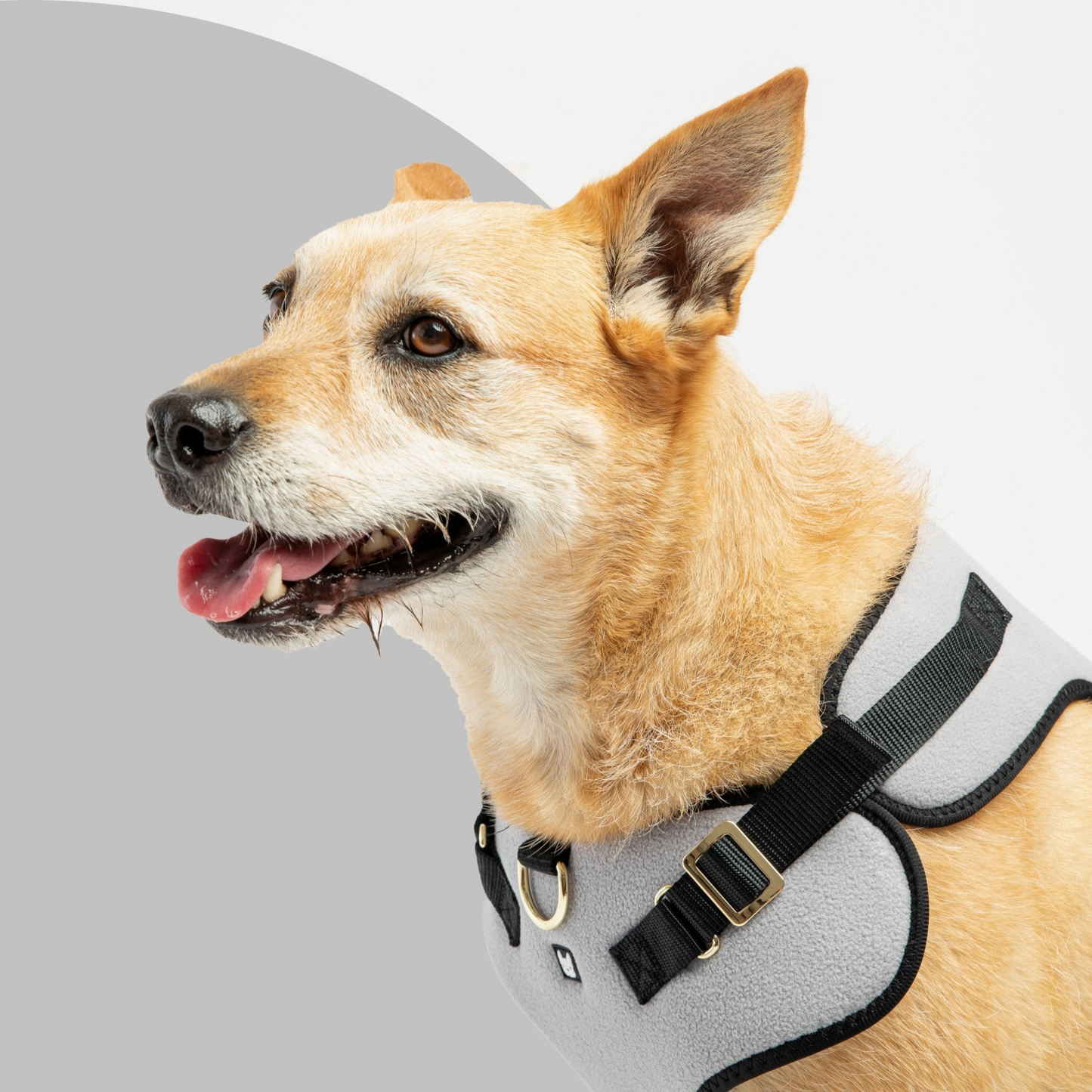 Aquafleece Dog Harness