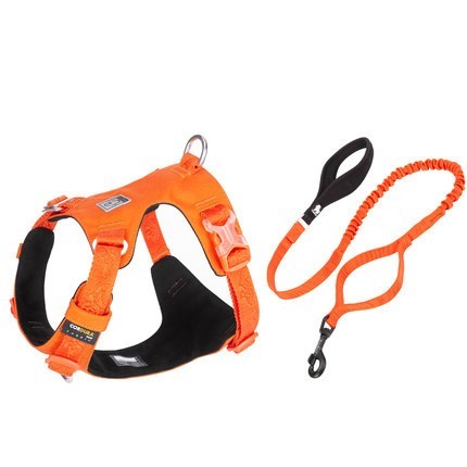 Large Pet Walking Harness