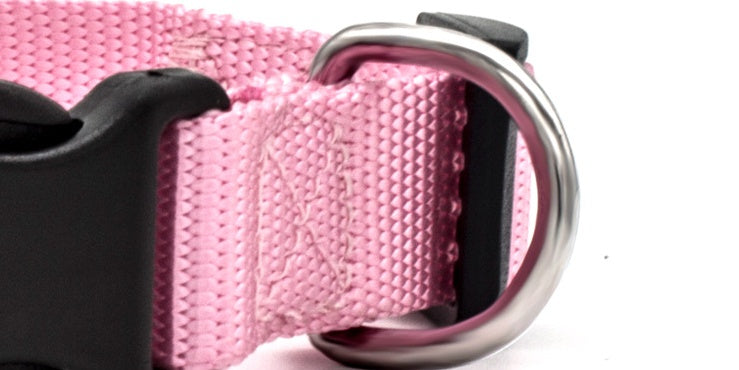 Nylon Dog Collar