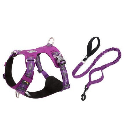 Large Pet Walking Harness