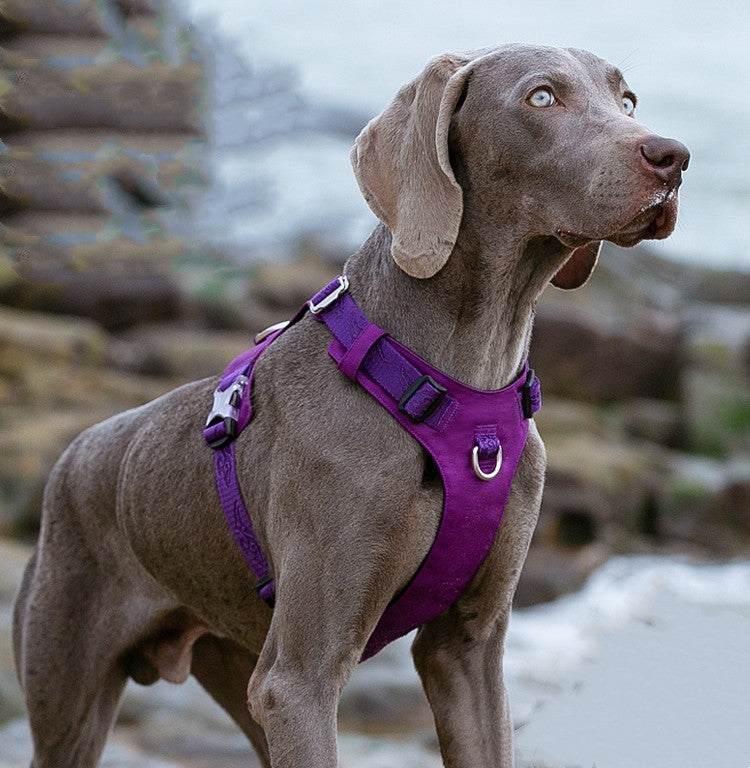 Large Pet Walking Harness