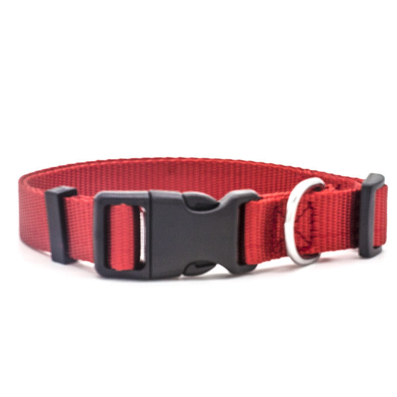 Nylon Dog Collar