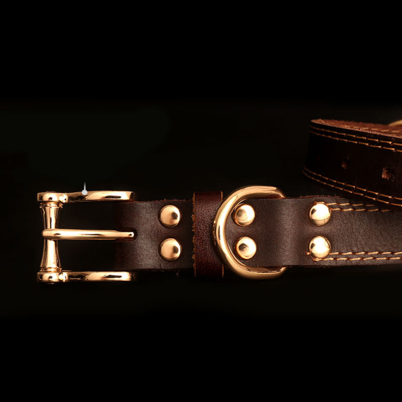 Genuine Leather Collar with Engraved Nameplate