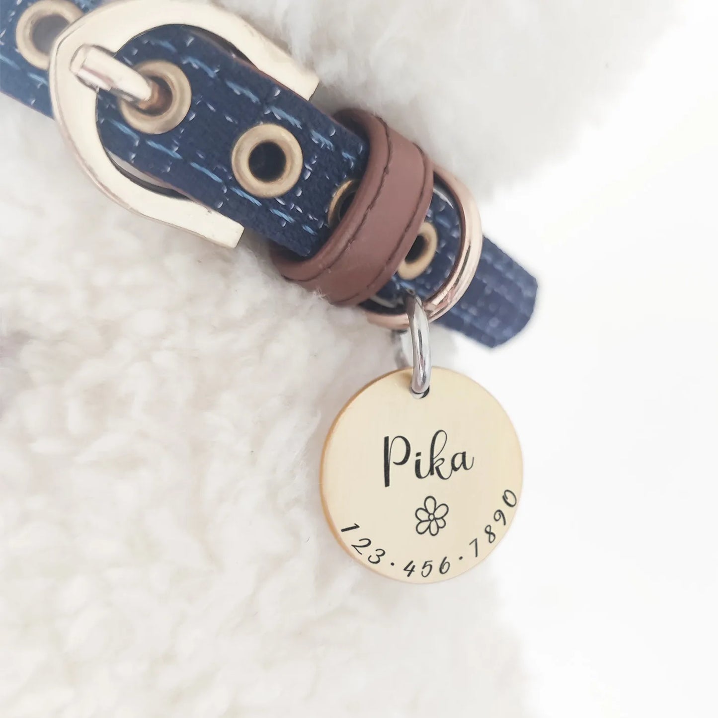 Personalized Dog ID Tag Collar