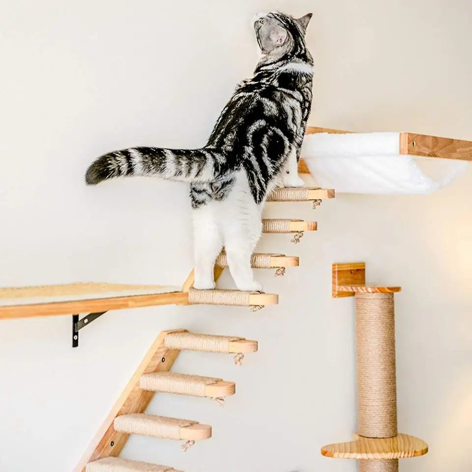 Cat Wall Climbing Shelves