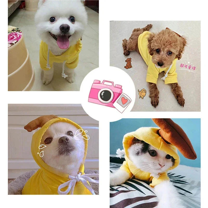 Cute Fruit Dog cat Clothes for Small Dogs hoodies