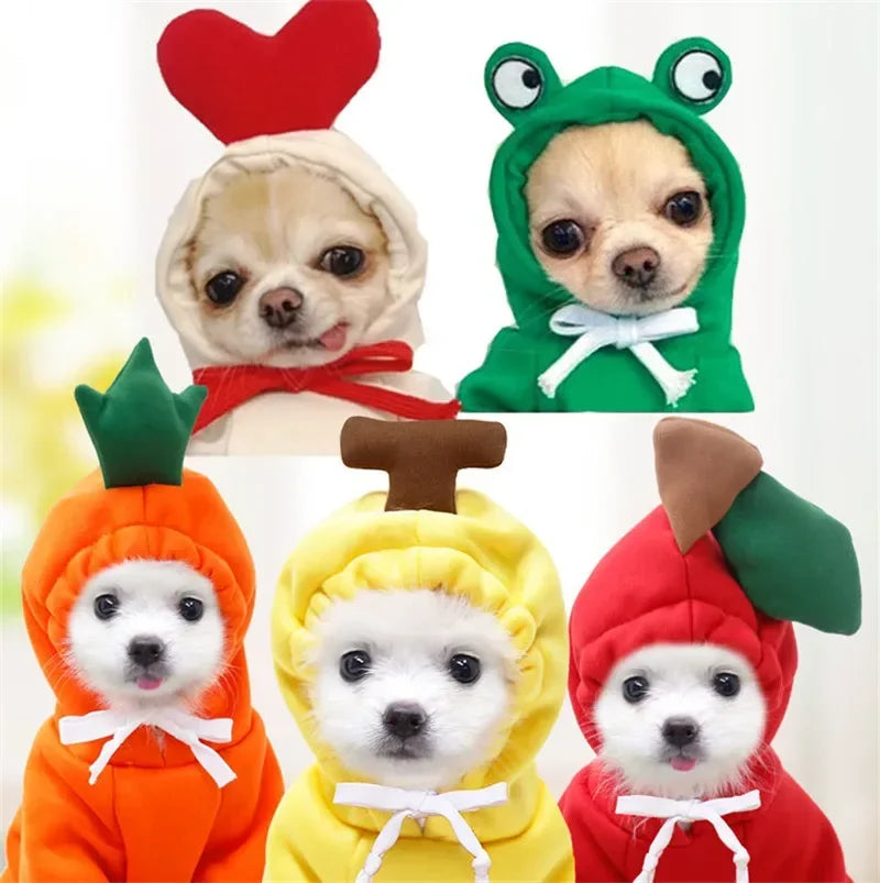 Cute Fruit Dog cat Clothes for Small Dogs hoodies