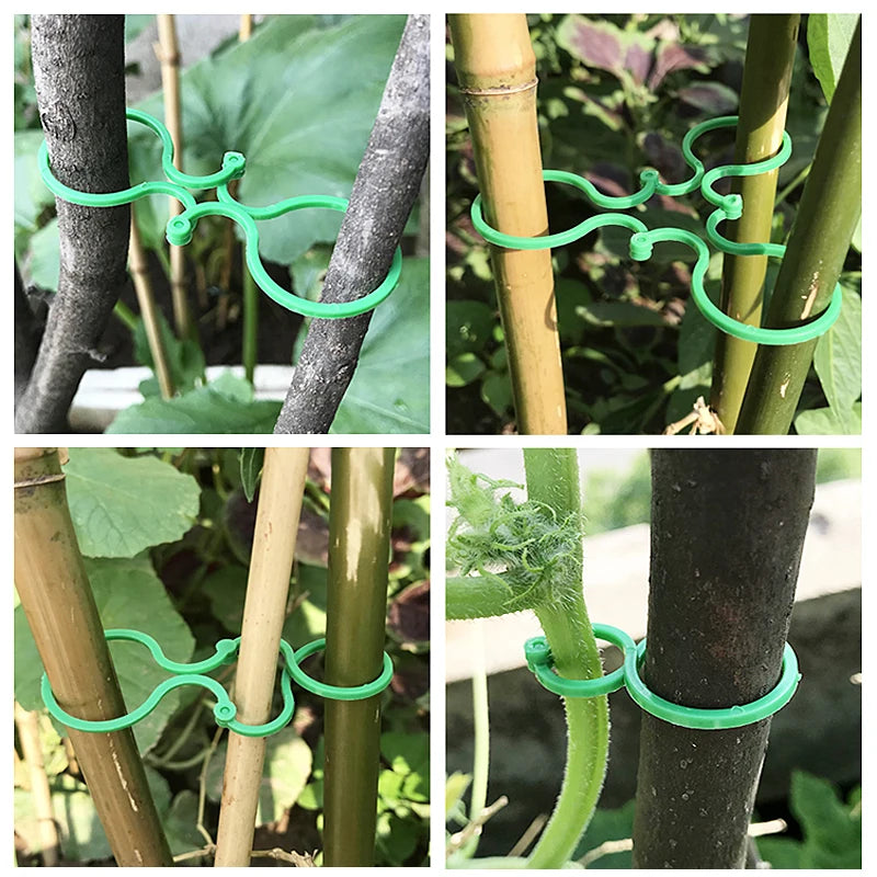 Vine Strapping Clips