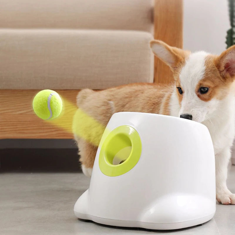 Dog Ball Launcher Toy