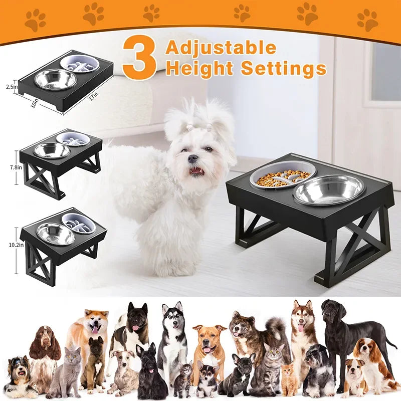 Elevated Dog Feeder