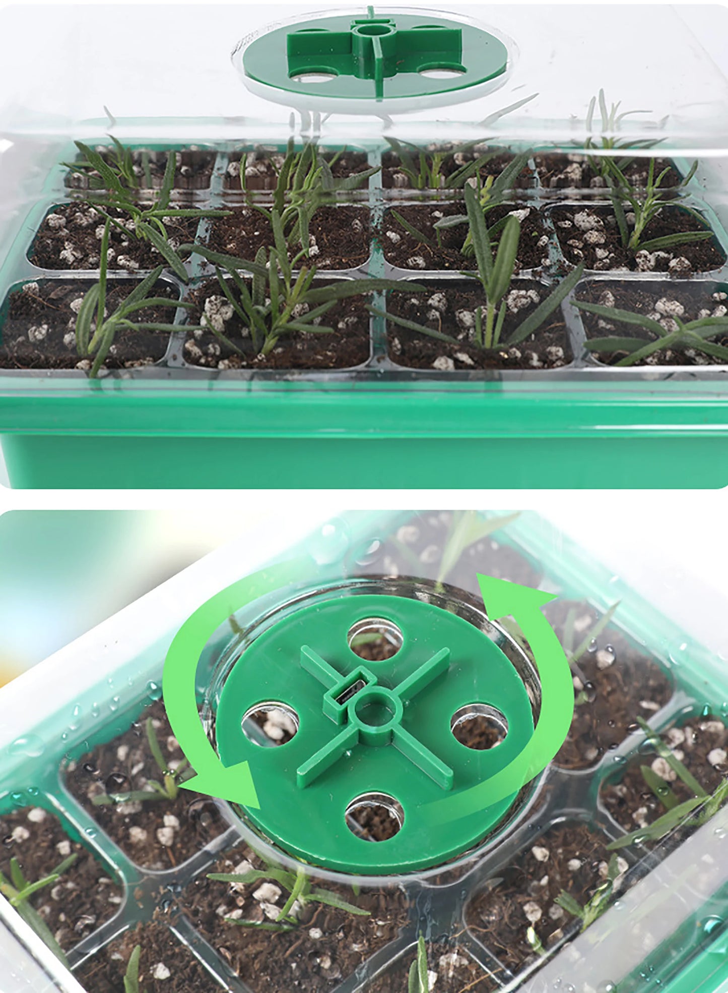 Garden Seed Box