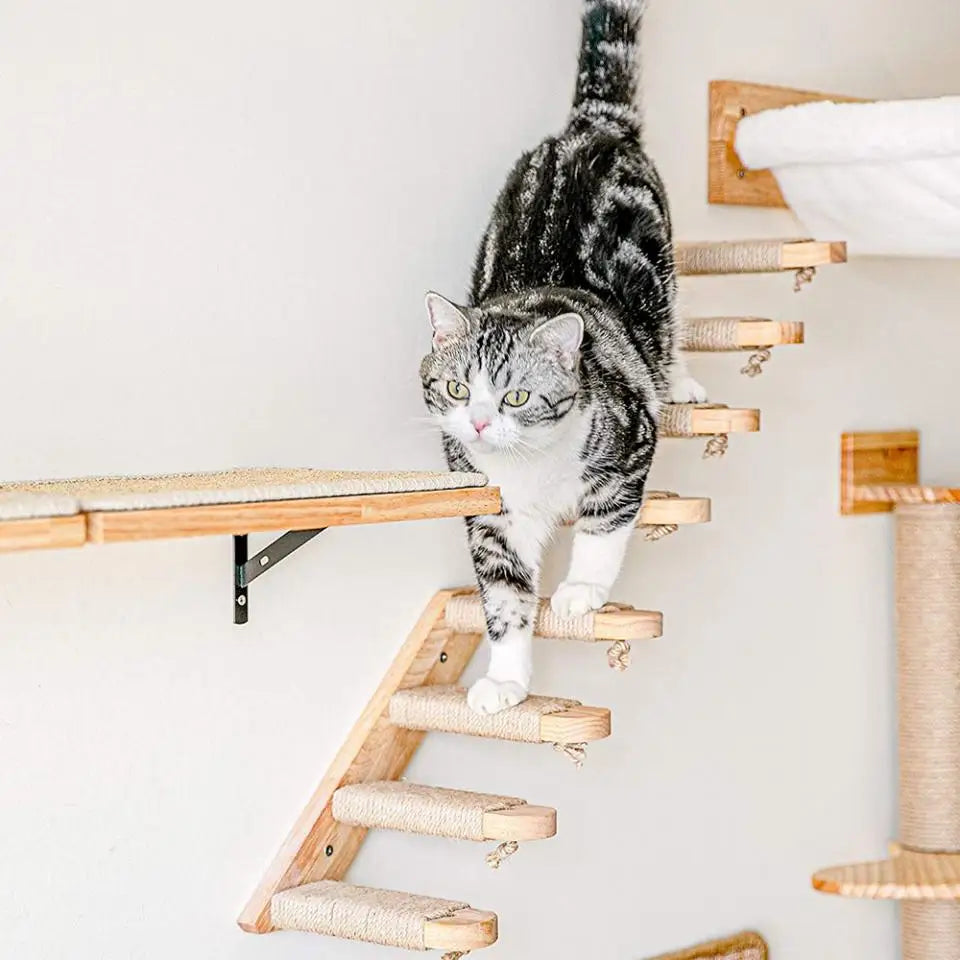 Cat Wall Climbing Shelves