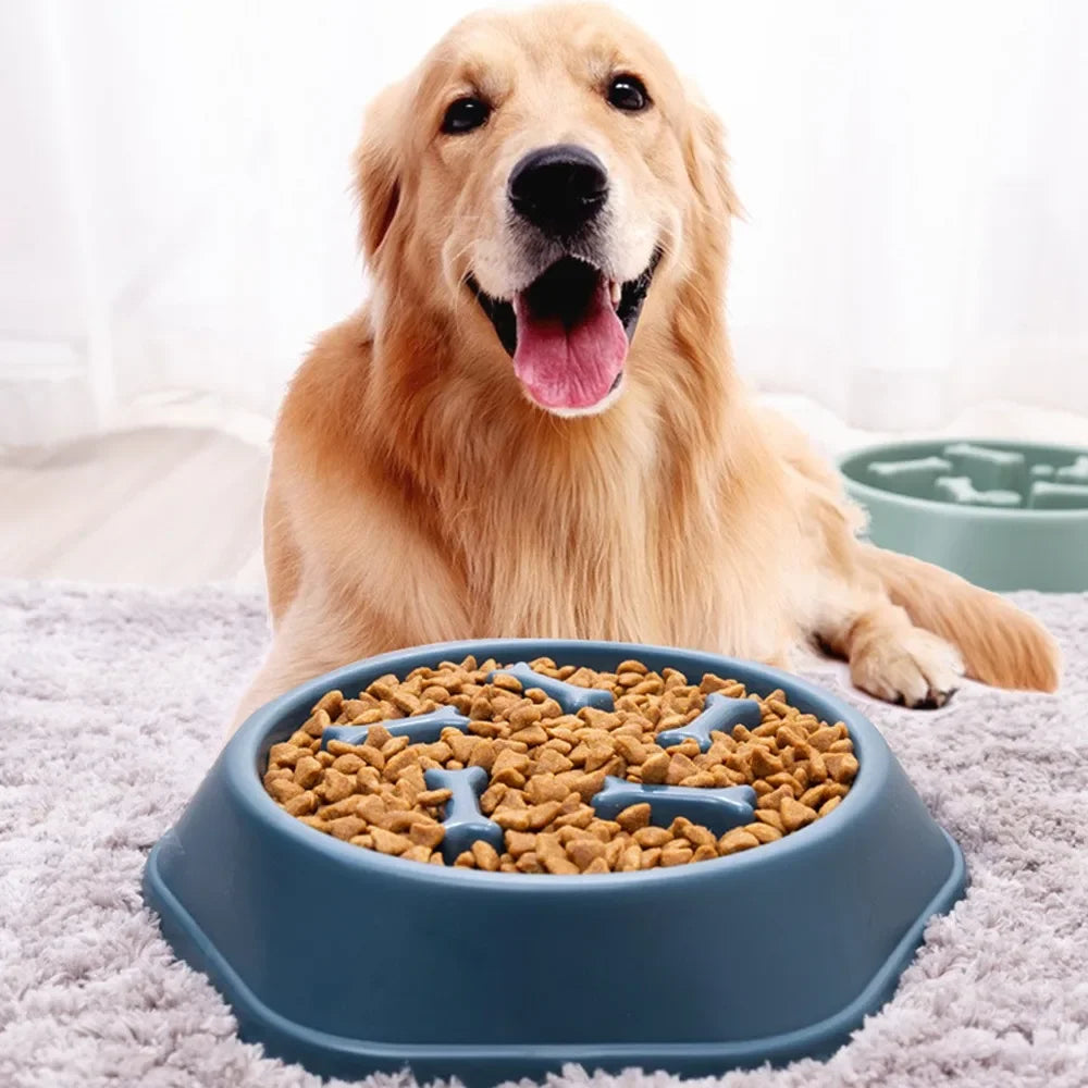 New Pet Dog Feeding Food Bowl