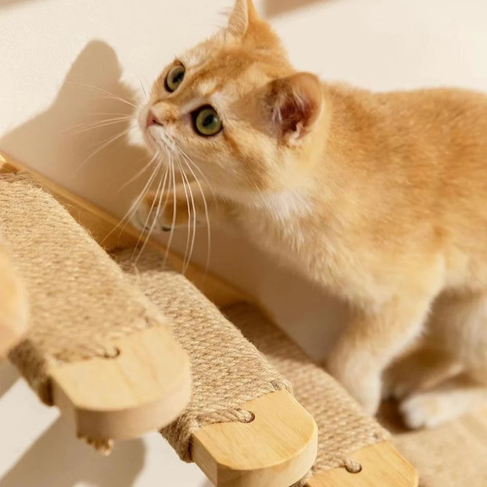 Cat Wall Climbing Shelves