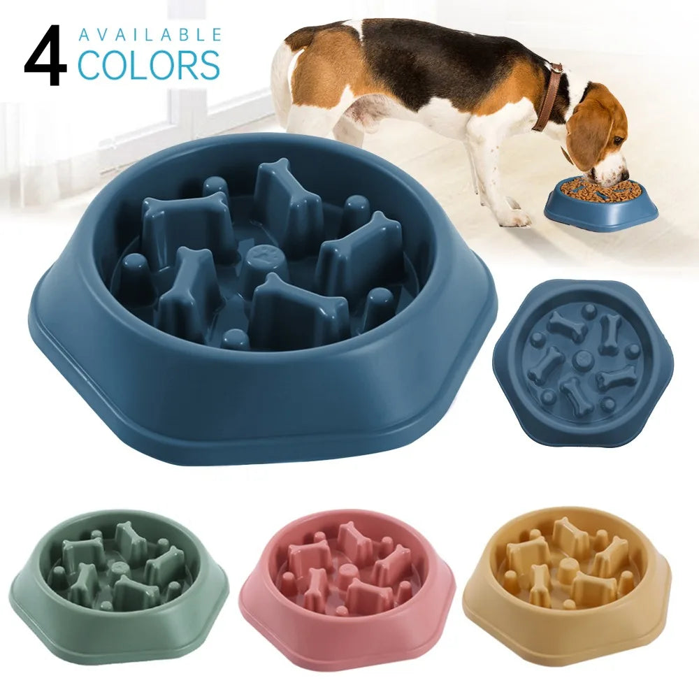 New Pet Dog Feeding Food Bowl