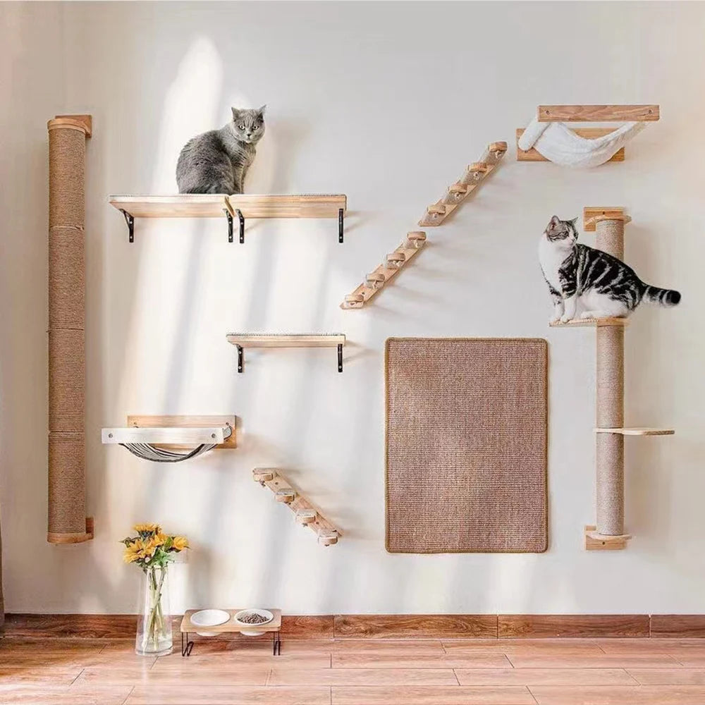 Cat Wall Climbing Shelves