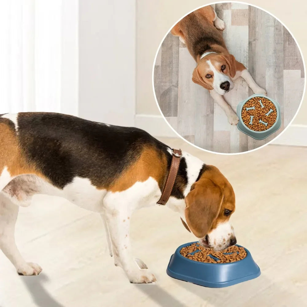 New Pet Dog Feeding Food Bowl