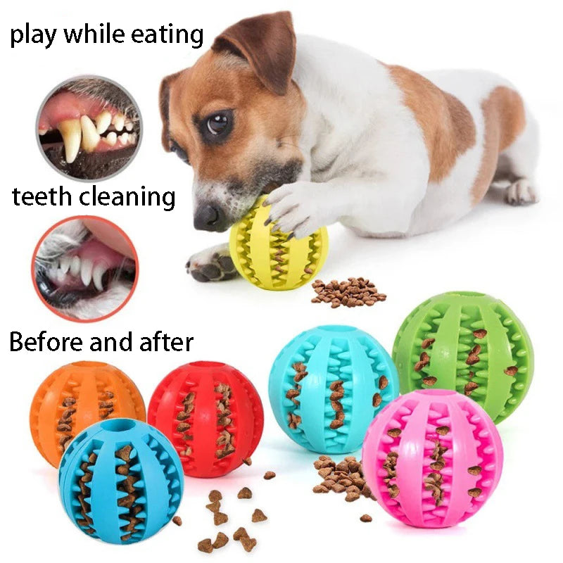 Rubber Dog Ball Feeder