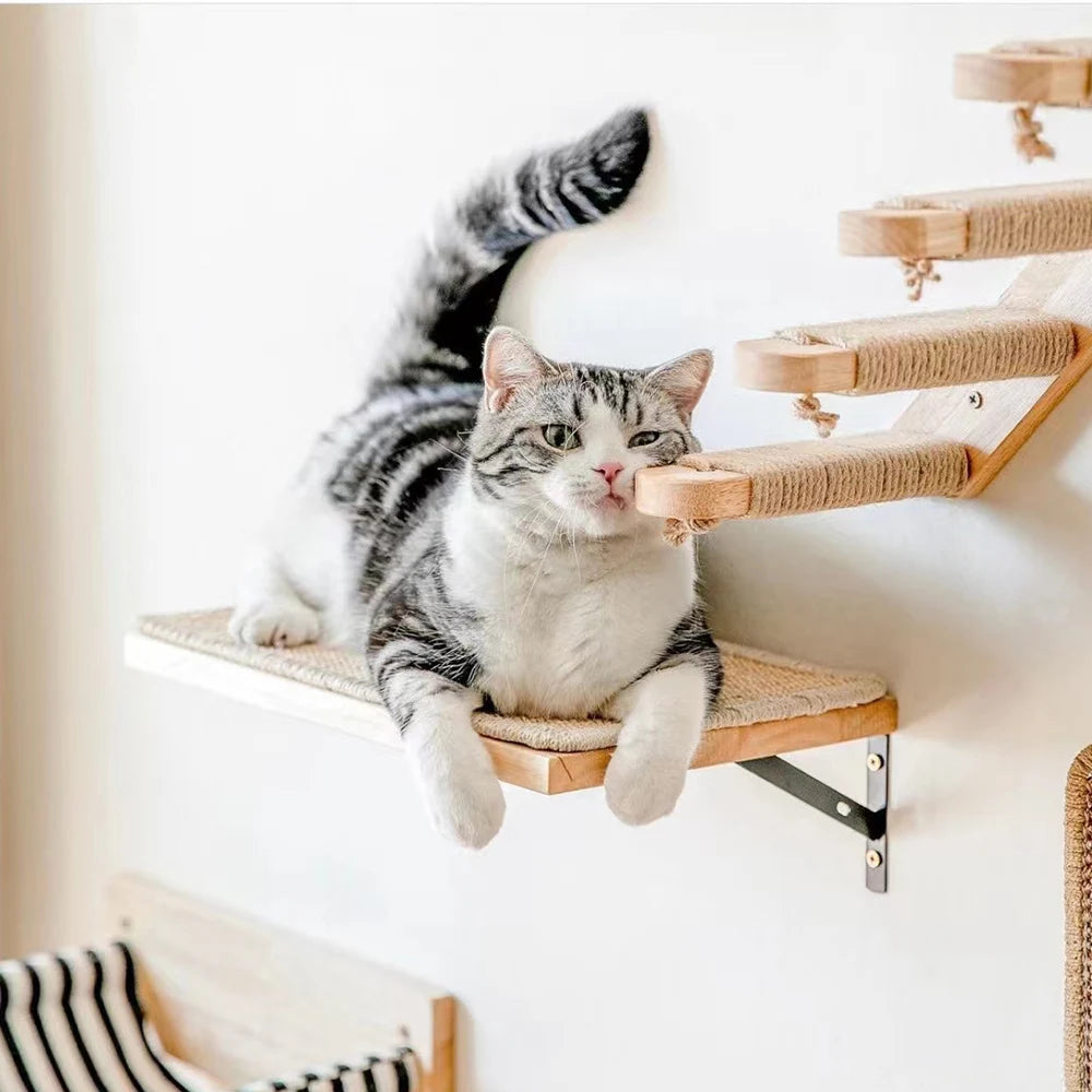 Cat Wall Climbing Shelves