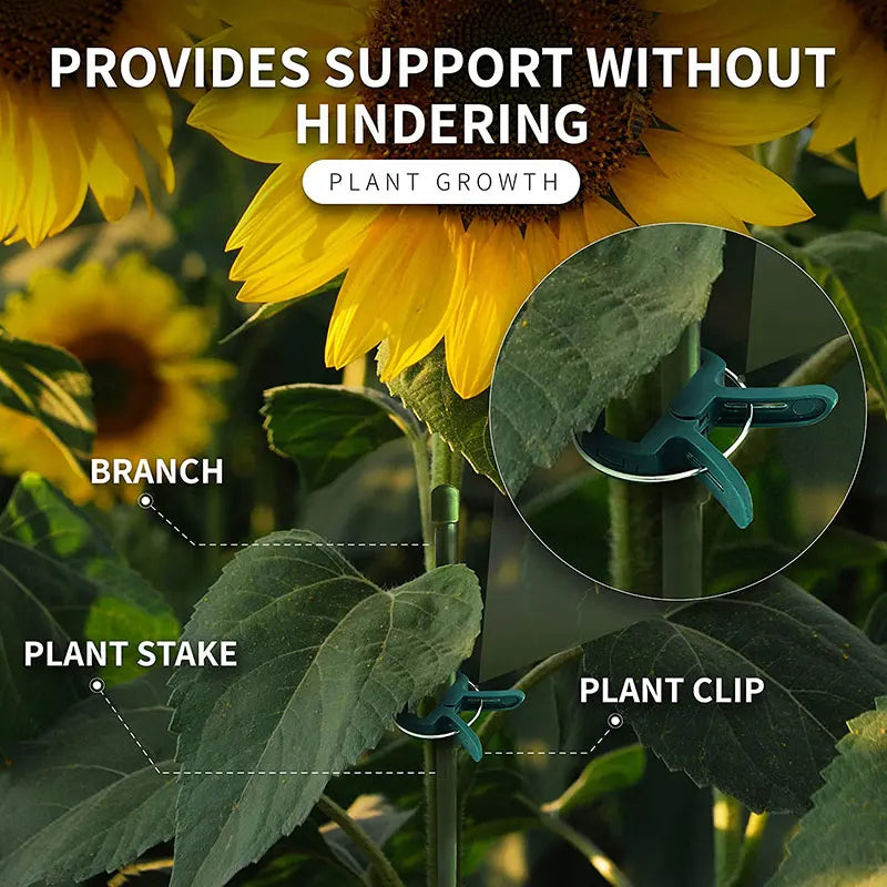 Plant Fixed Clips