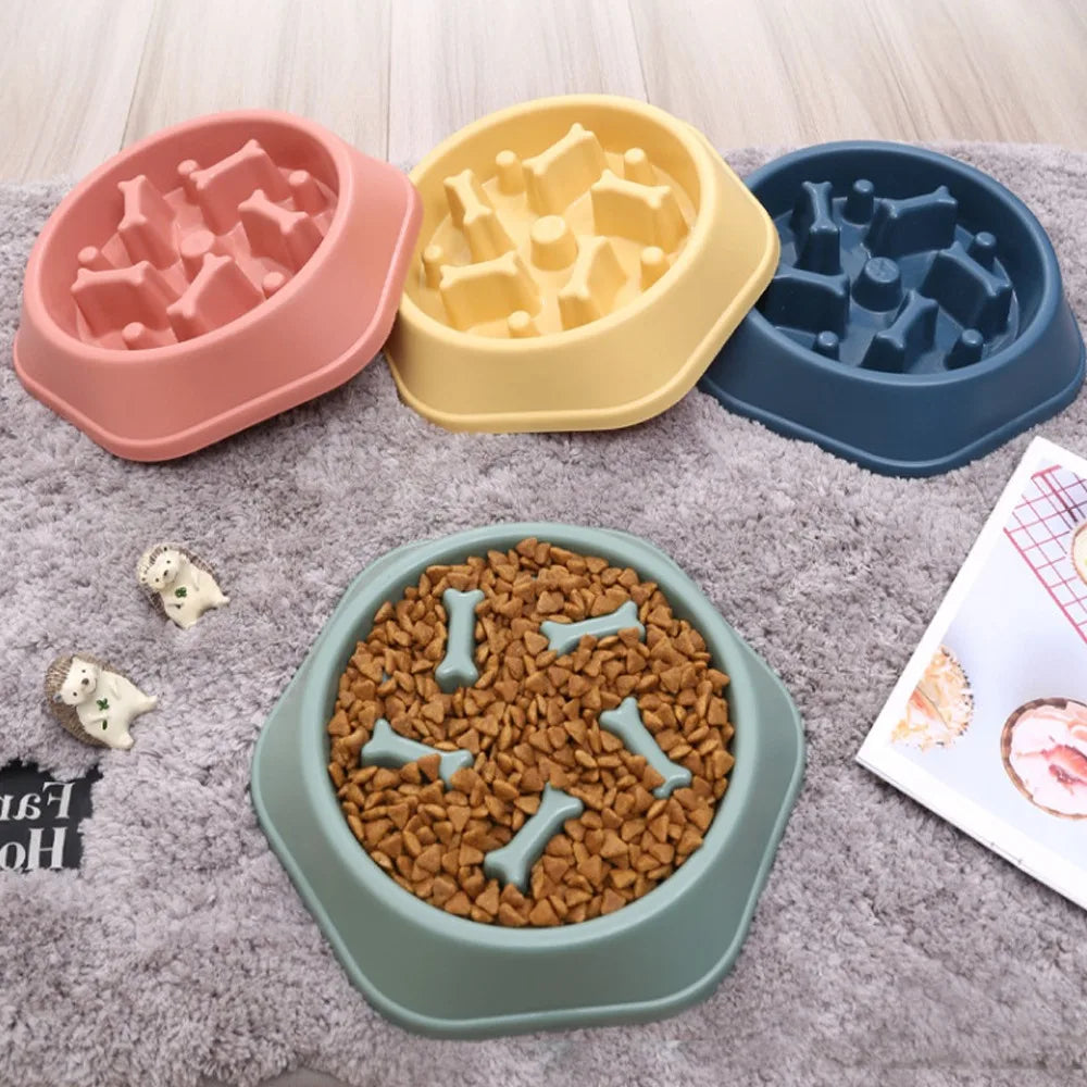 New Pet Dog Feeding Food Bowl