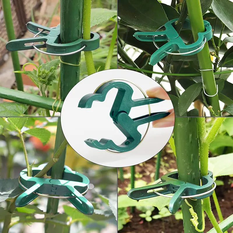 Plant Fixed Clips