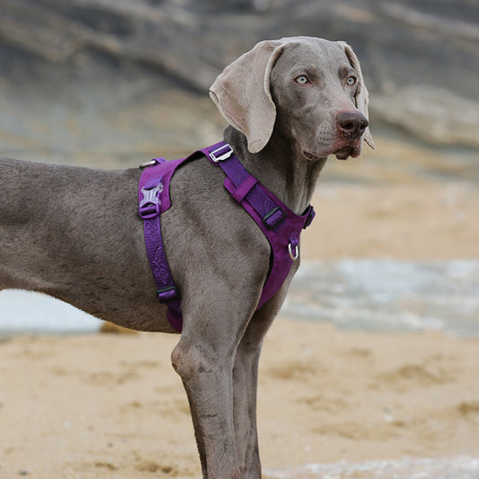 Large Pet Walking Harness